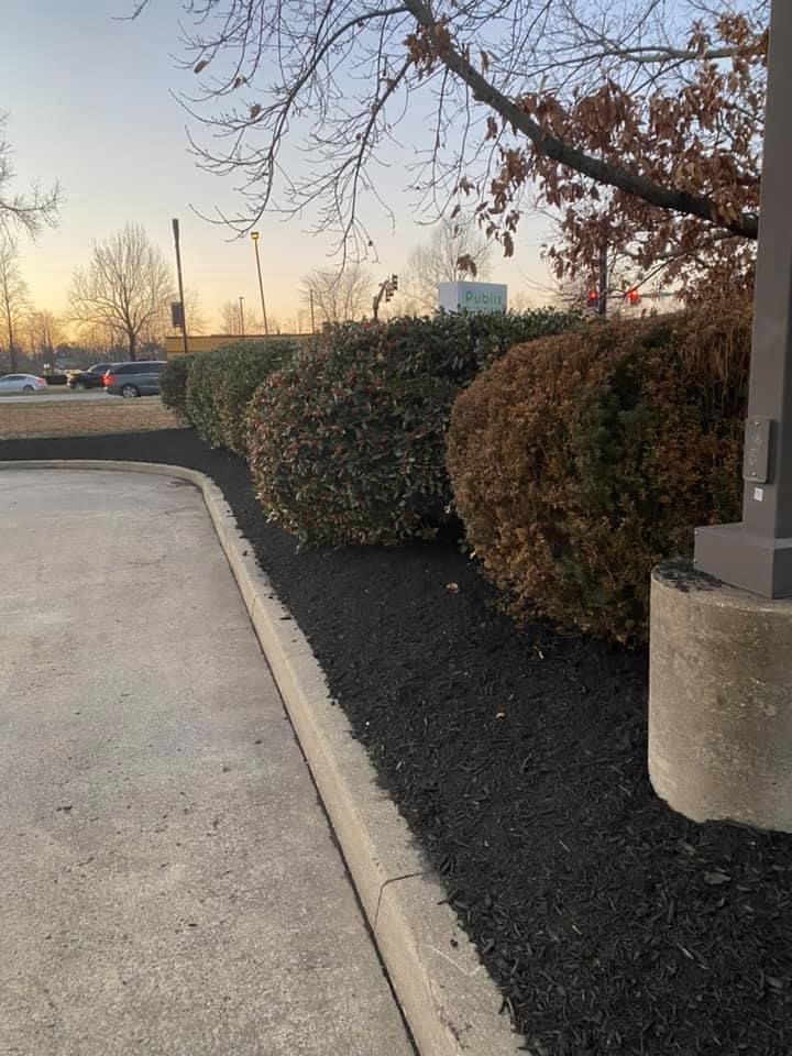 Row of trimmed bushes with fresh dark mulch along a concrete curb near a structure with a concrete base.