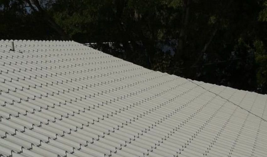 Beige tile roof on a building, with trees in the blurred background.
