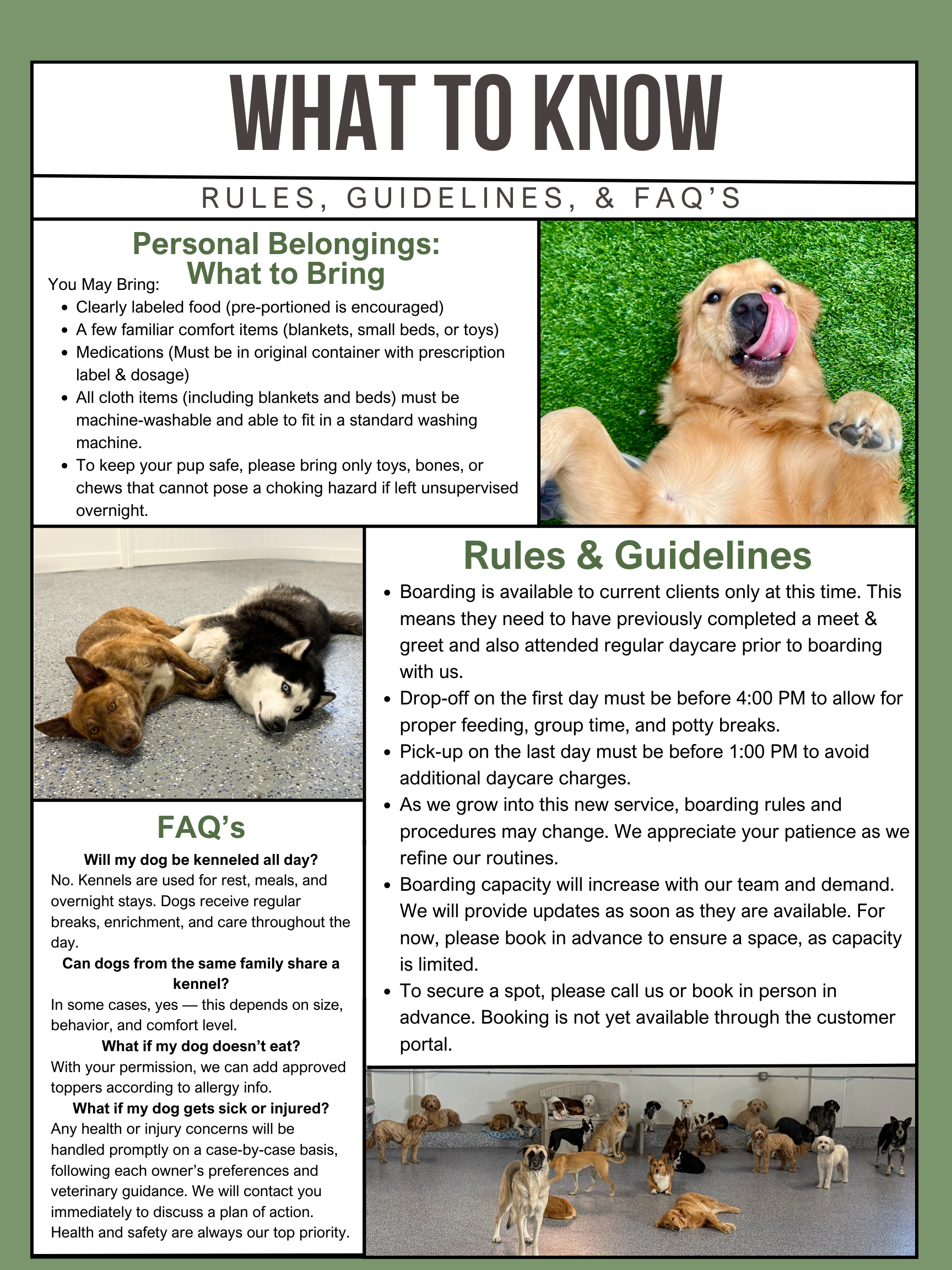 Poster: What to Knowwith rules, guidelines, FAQs, and a section for personal belongings for dogs.
