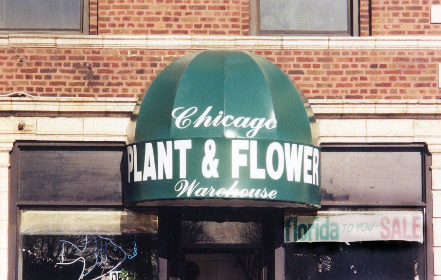 Chicago Plant & Flower
