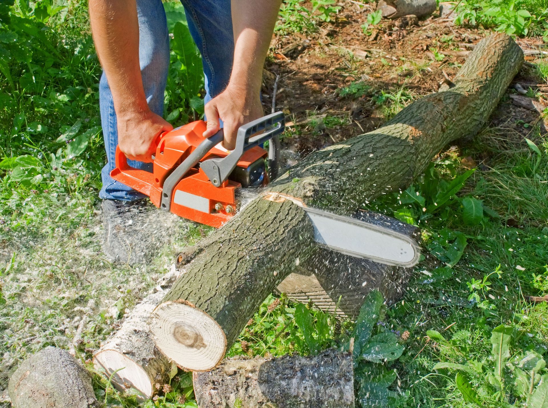 tree cutting service