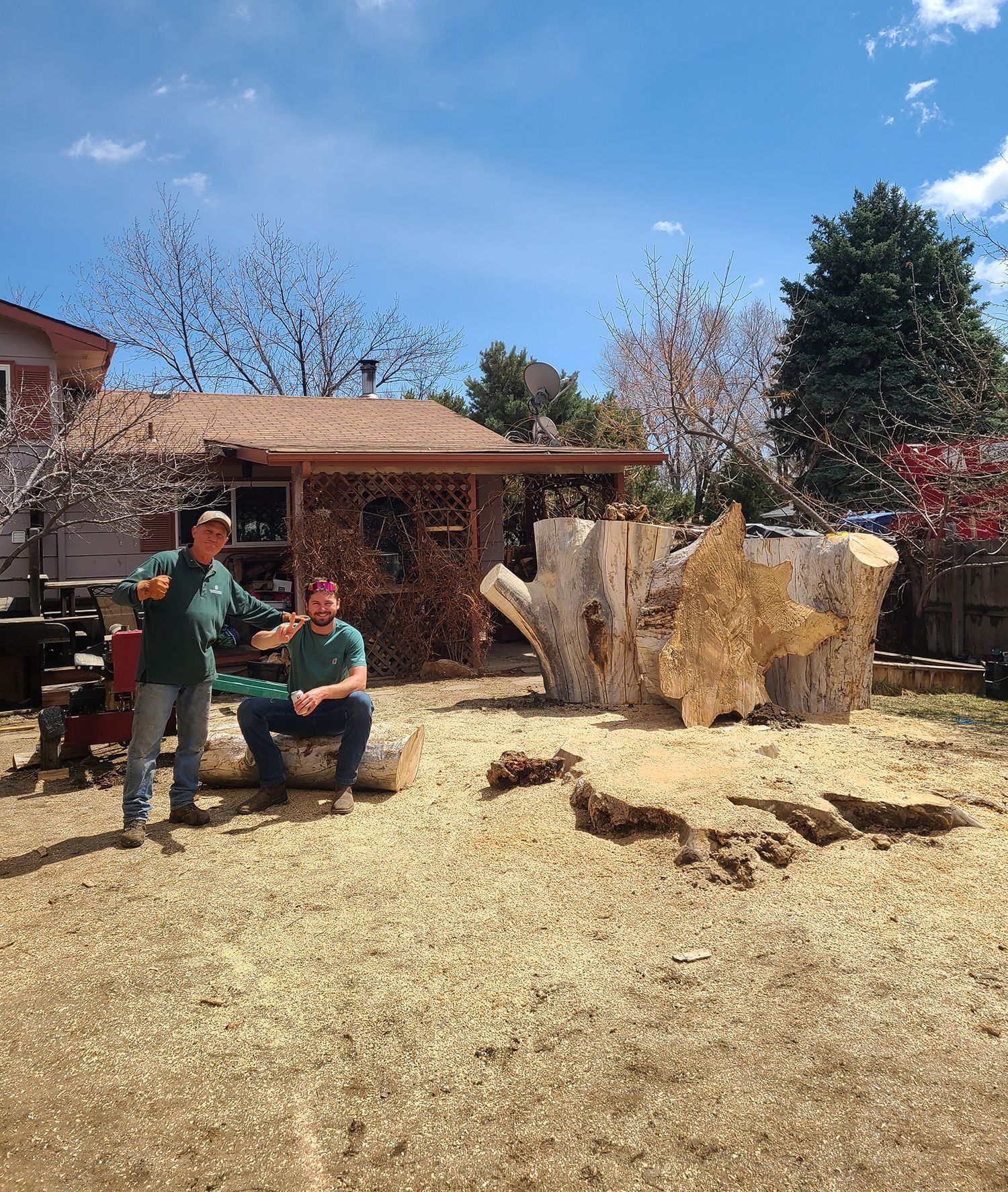 Two men are standing next to a large tree stump in a yard.