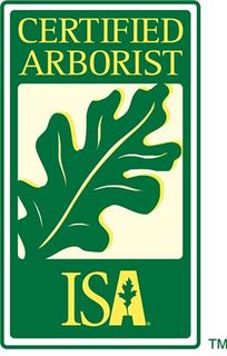 ISA-Certified Arborist