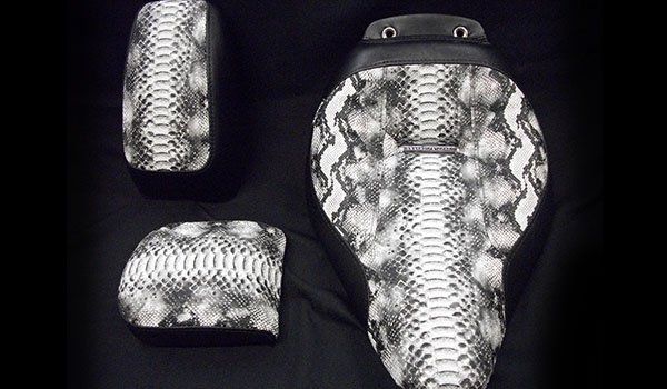 Congo Snake & Black Orca