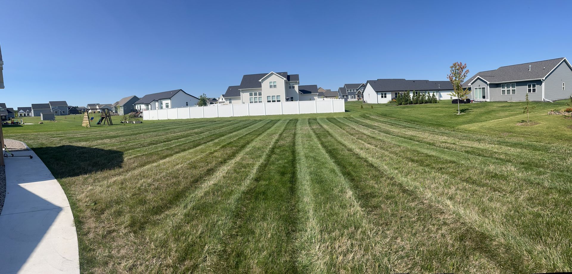 Lawn mowed with distinct stripes, in front of houses with a clear blue sky overhead.