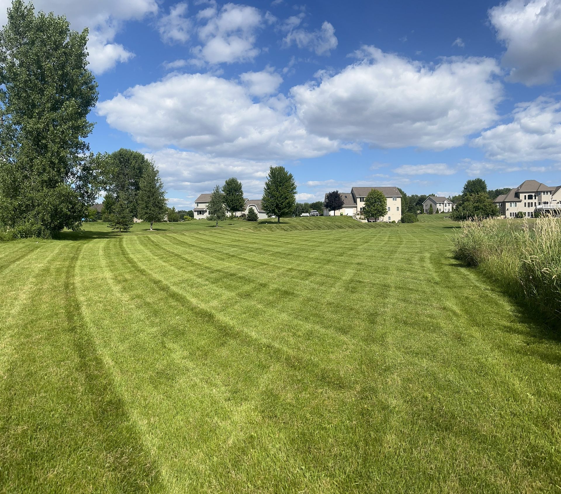 Mowed green lawn with trees, houses in the distance, and a blue sky with fluffy white clouds.
