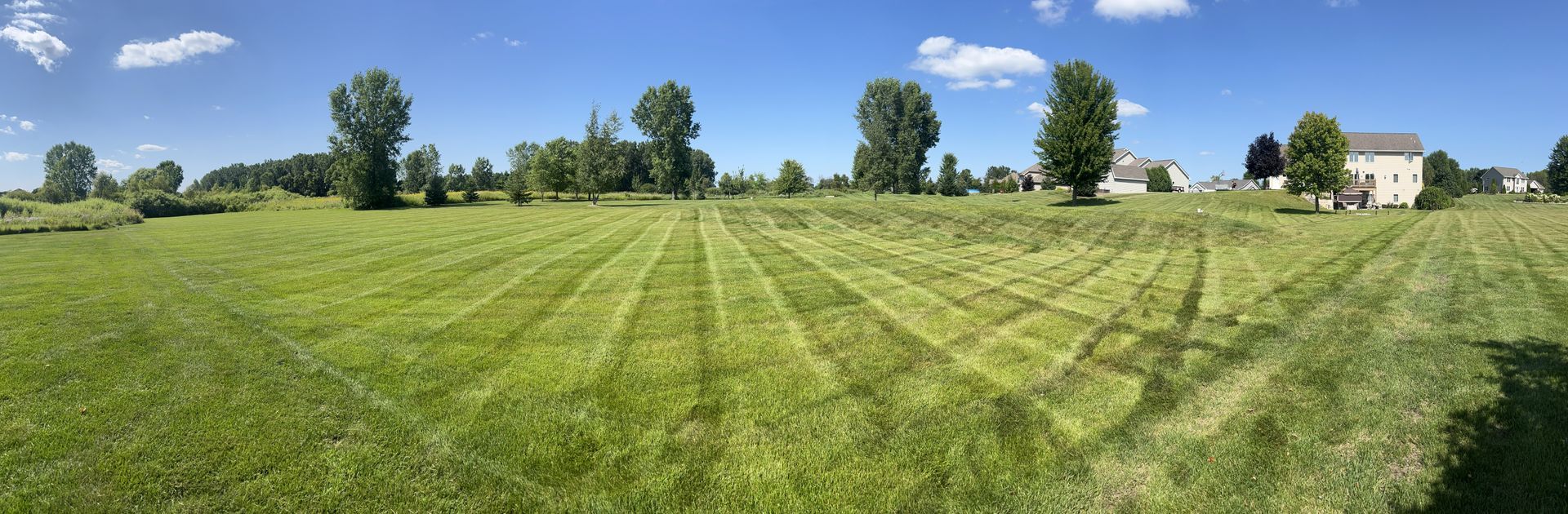 Mowed grassy field with trees and houses under a blue sky.