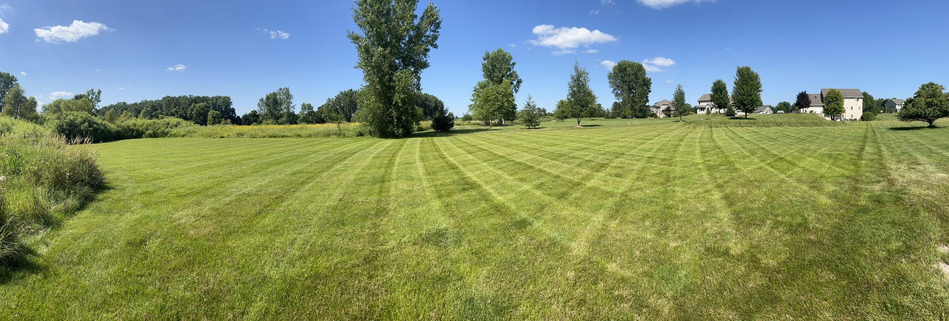 Green field with freshly mowed stripes under a blue sky, trees in the background.