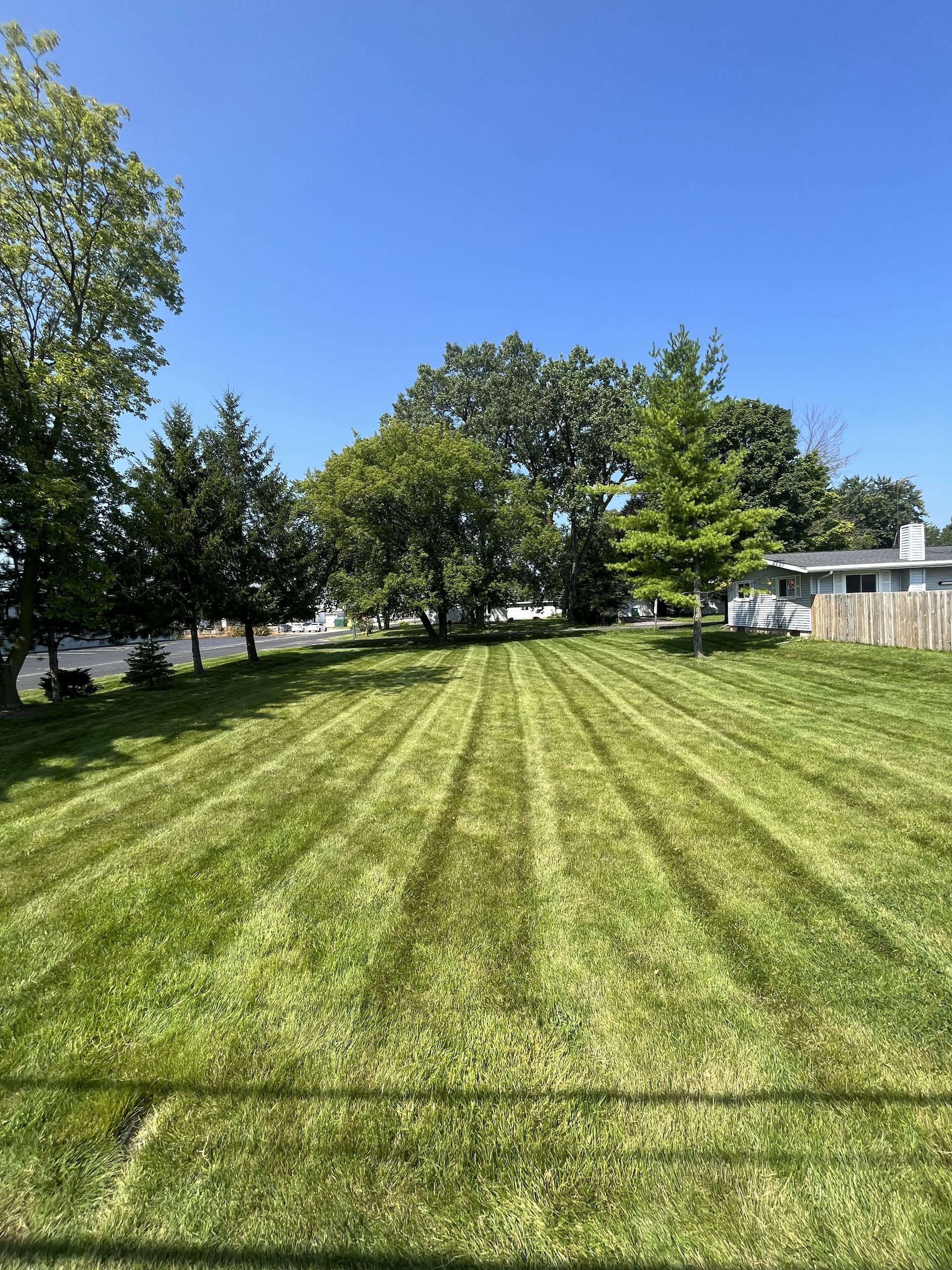 Lawn with parallel mowing lines, green grass, trees, and a clear blue sky.