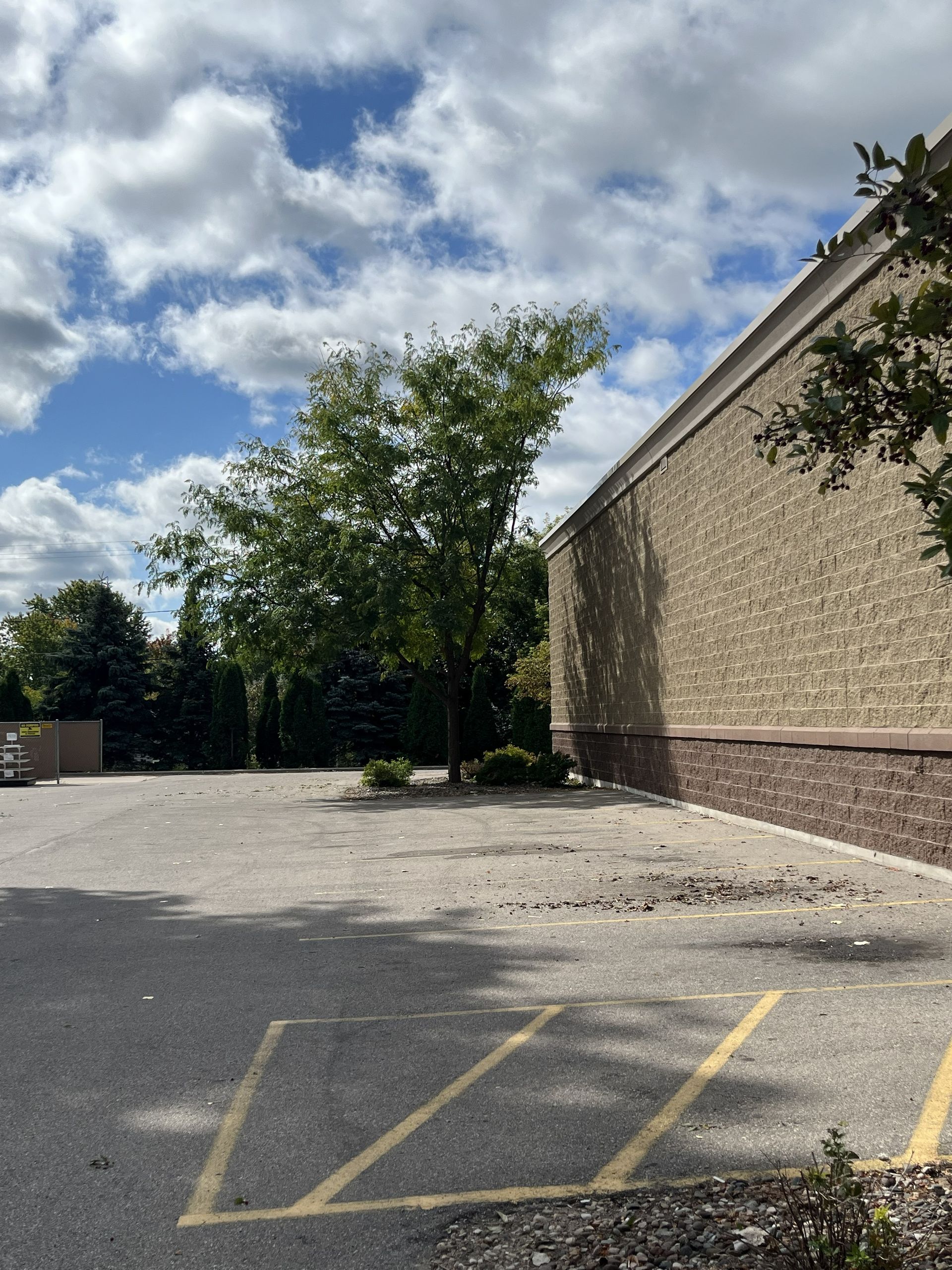 Empty asphalt parking lot next to a tan brick building, with a tree and cloudy sky.