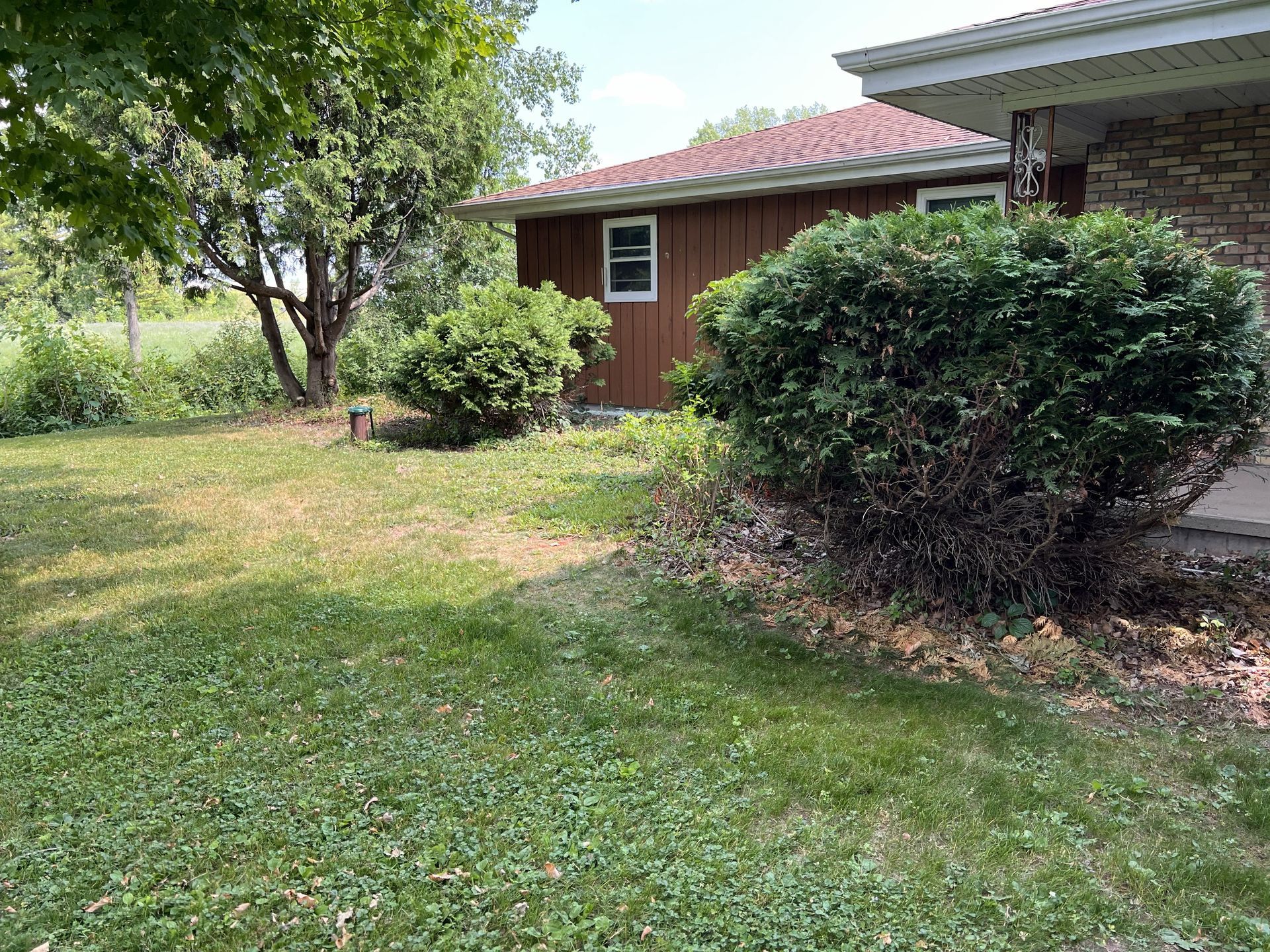 Lawn and brown house with overgrown bushes and trees under a partly sunny sky.