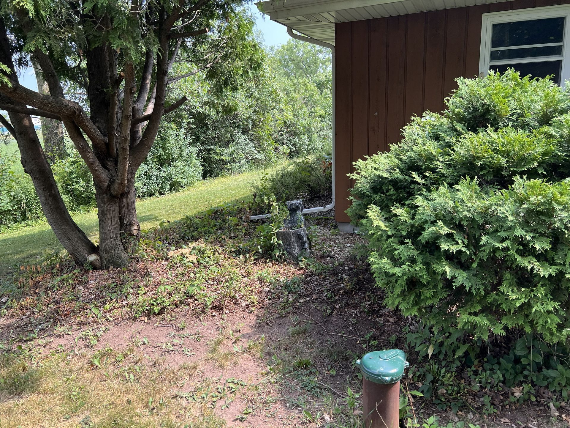 Exterior of a brown house with a green shrub, a tree, and a grassy yard.