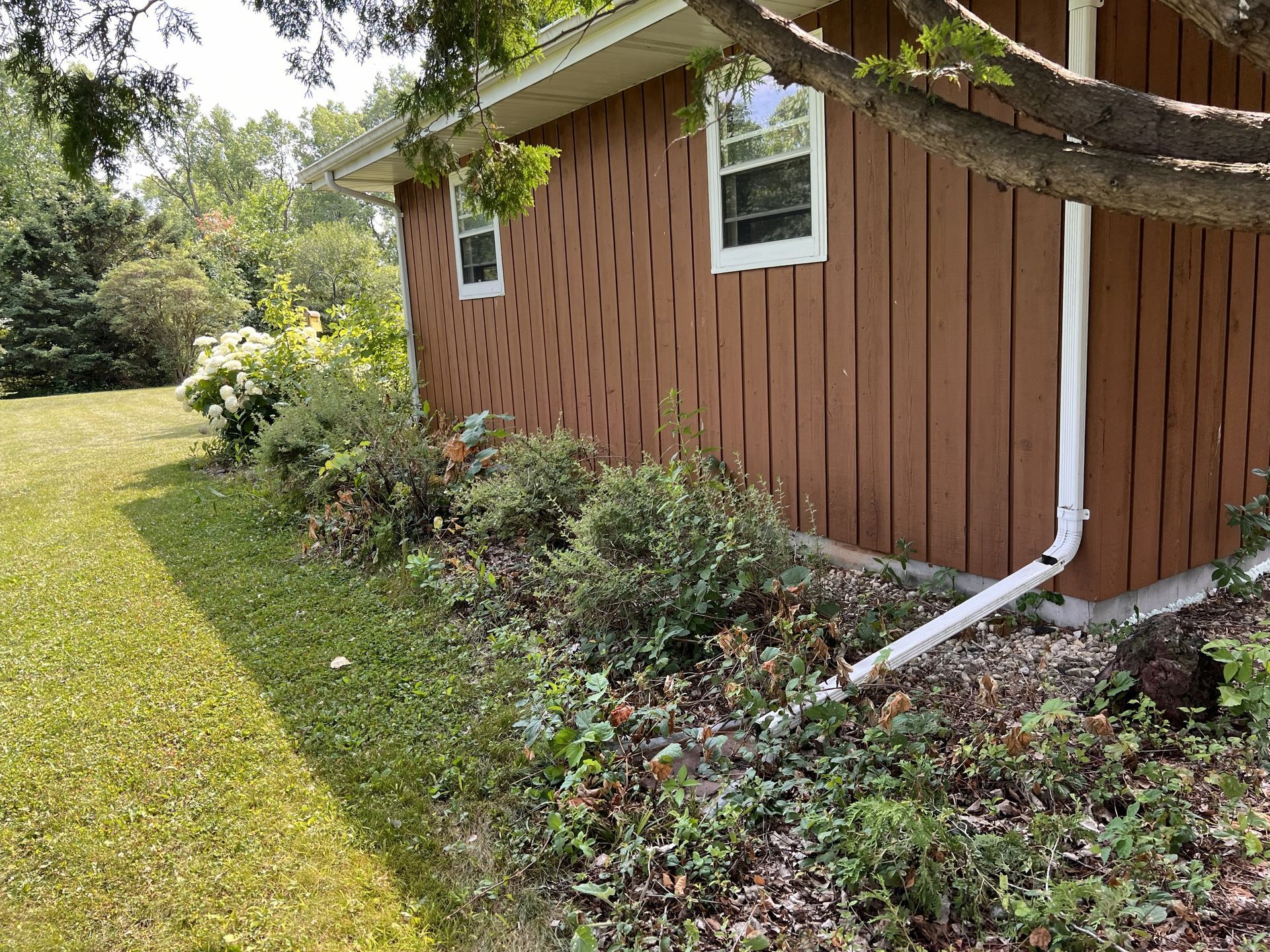 Brown house with white trim, a gutter, and overgrown bushes along the side.