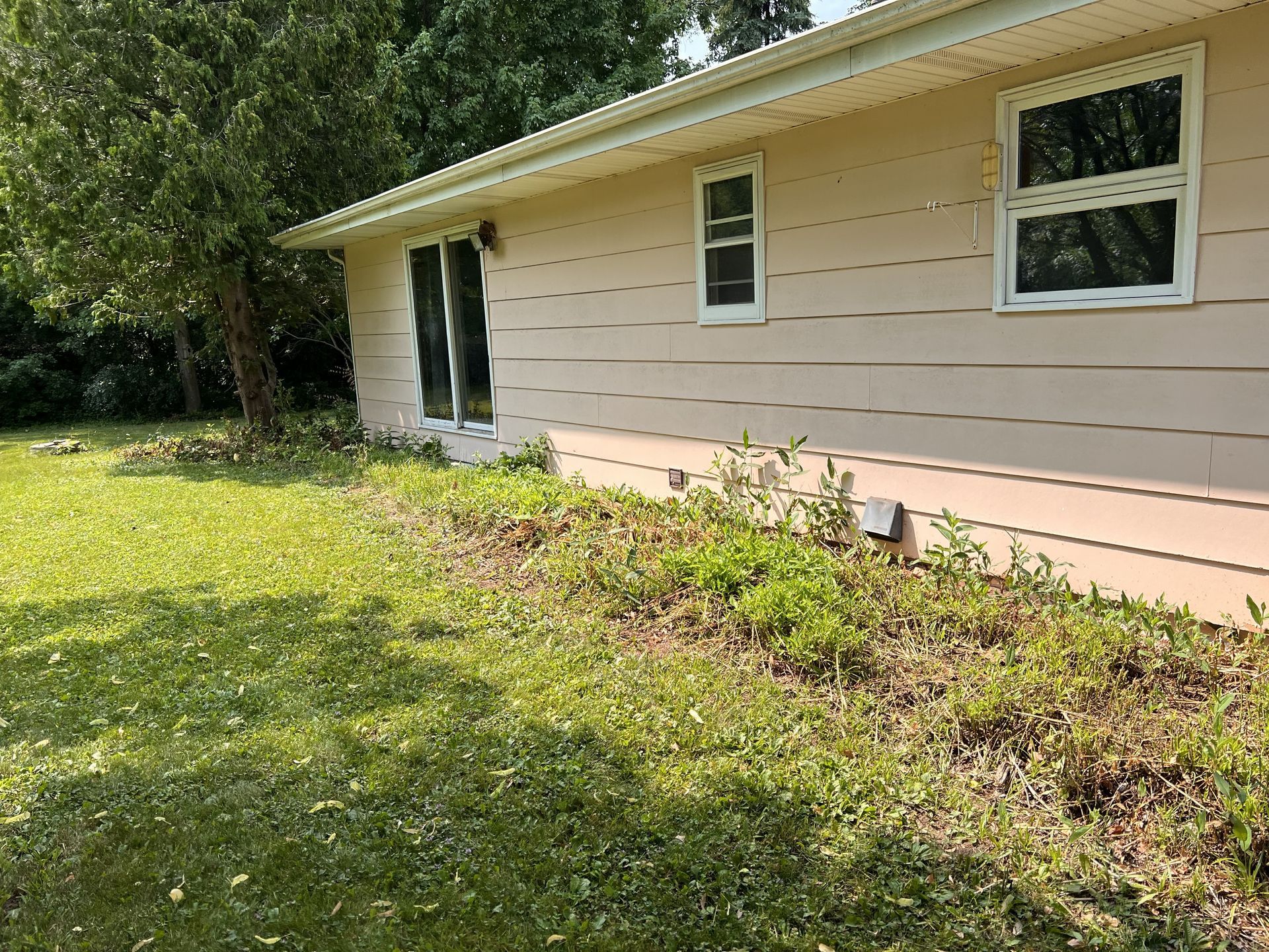 Side of beige house with a tree and overgrown bushes in a grassy yard.