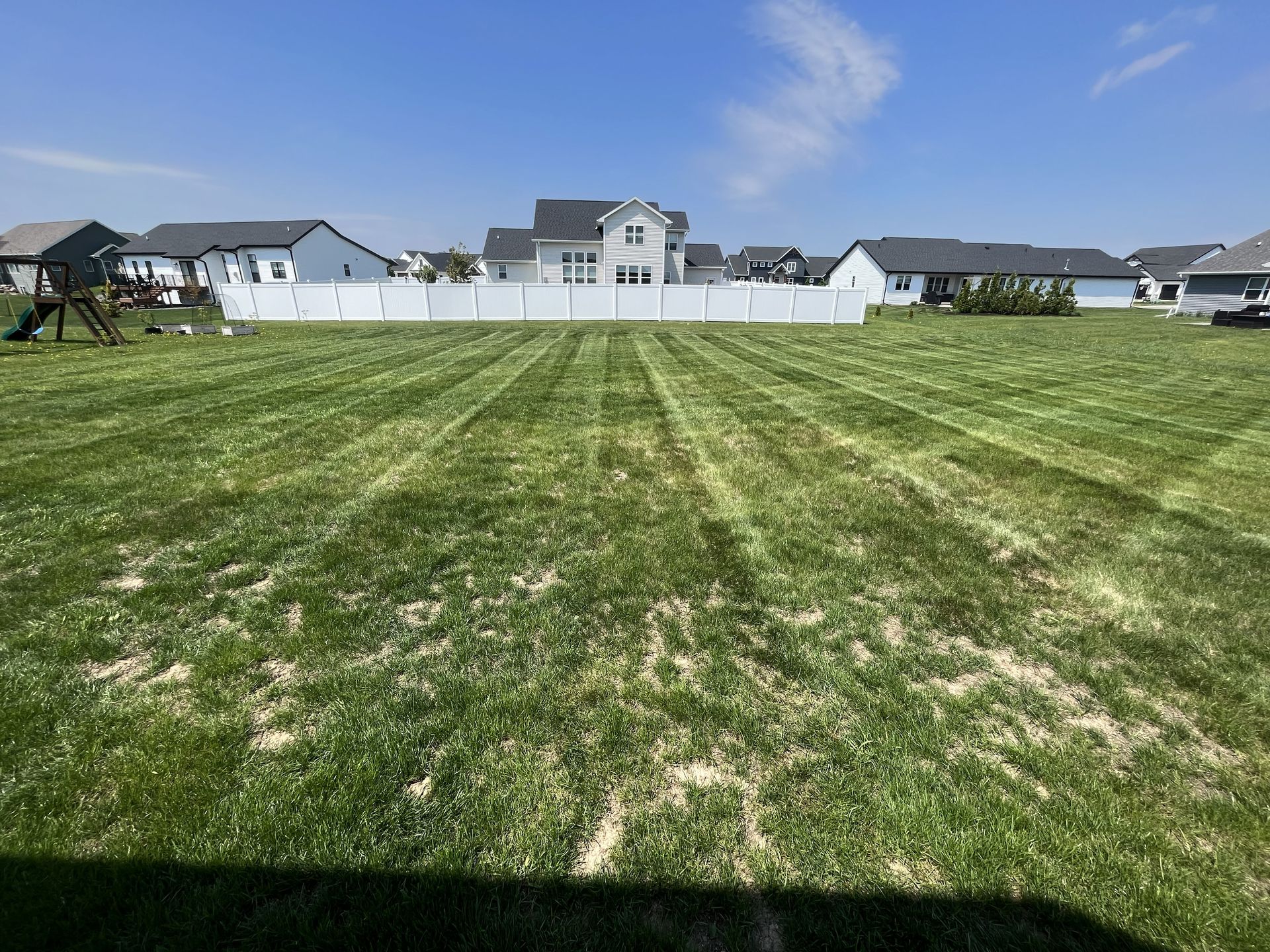 Lawn with freshly cut stripes. White fence and houses in the background under a blue sky.