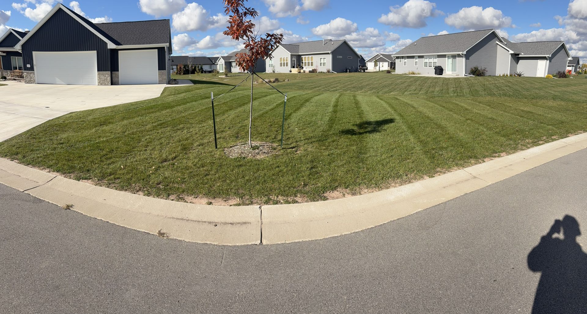 Lawn of newly mowed grass in front of houses on a sunny day. A person's shadow is visible.