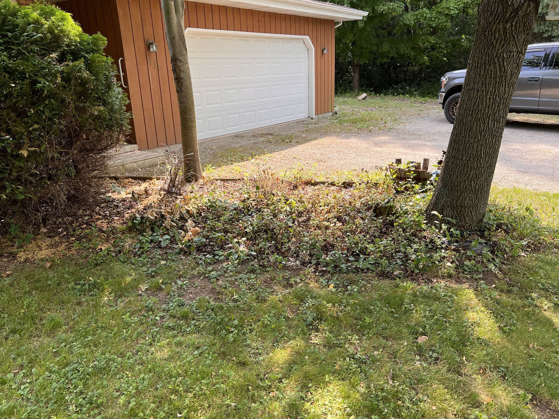 Garage with white door next to overgrown garden and driveway with a parked vehicle.