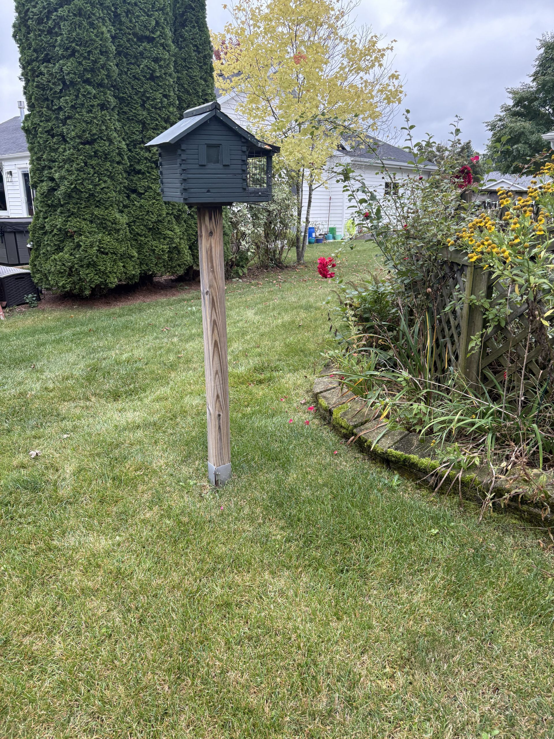 Birdhouse on a wooden post in a grassy backyard, next to bushes and trees, overcast sky.