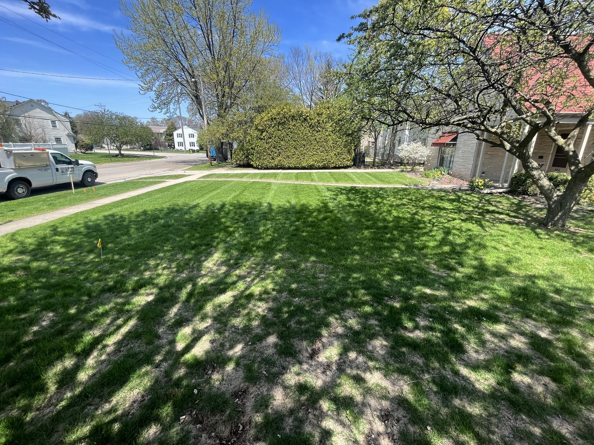 Lawn with freshly cut green grass, trees casting shadows, and a utility truck parked on a street.