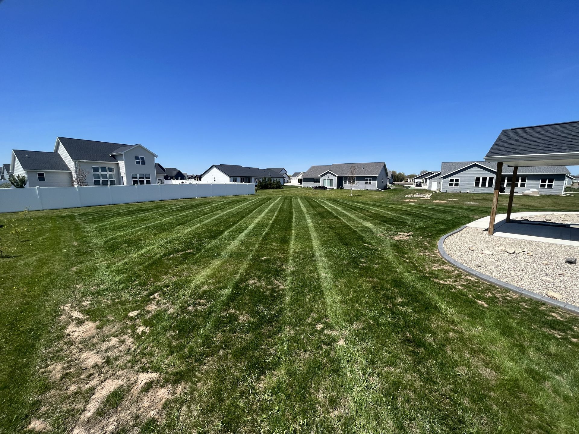 Lawn with distinct mowing patterns in a residential area on a sunny day. Houses are visible in the background.