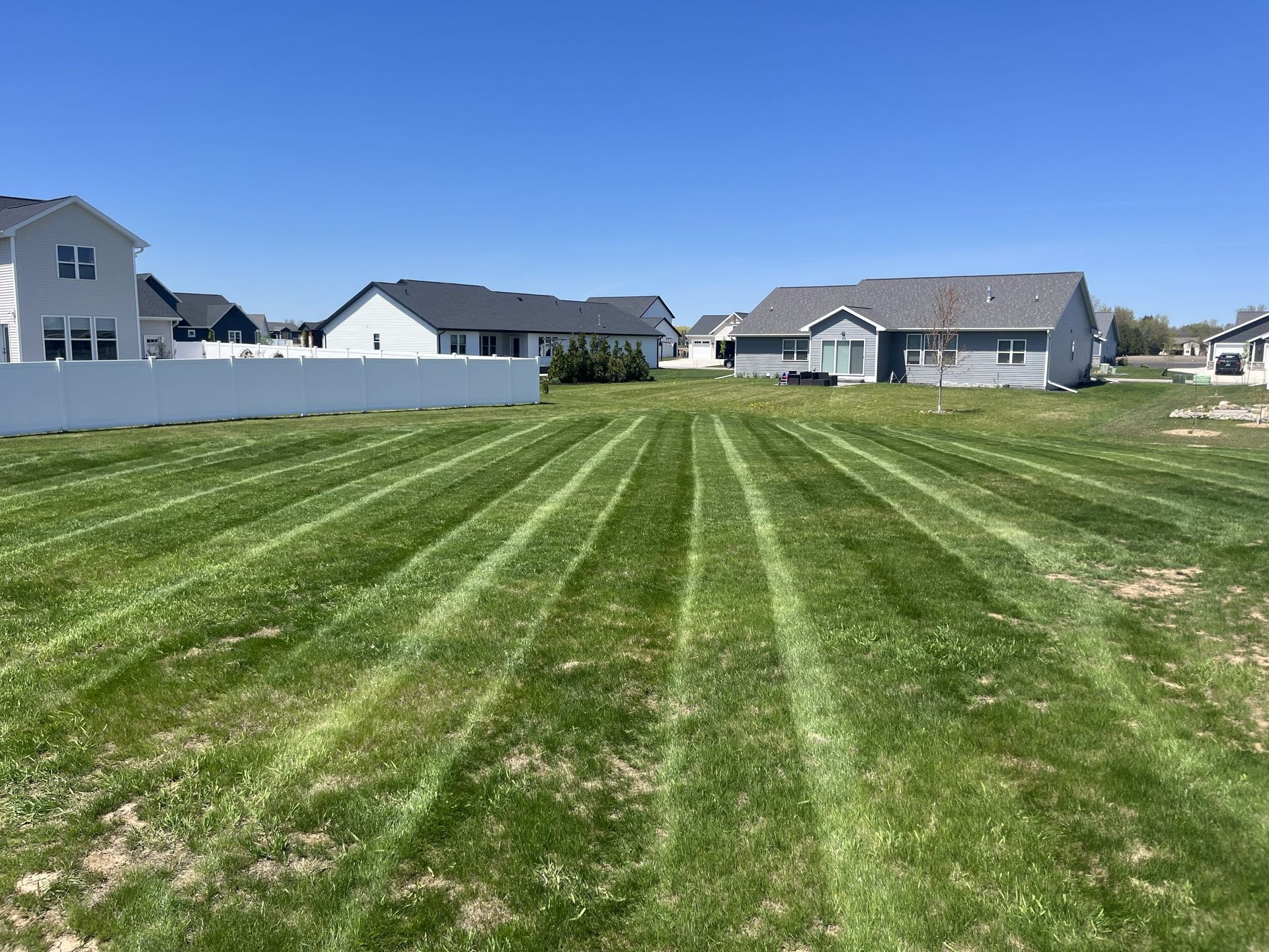 Lawn with fresh mowing stripes, suburban homes and white fence under blue sky.