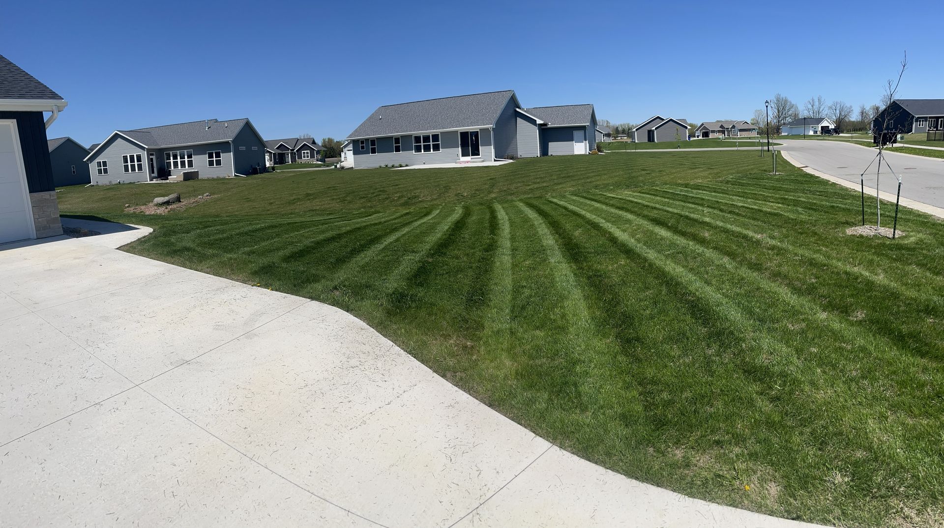 Lawn with mowed stripes in front of several gray houses on a sunny day. A concrete sidewalk is in the foreground.