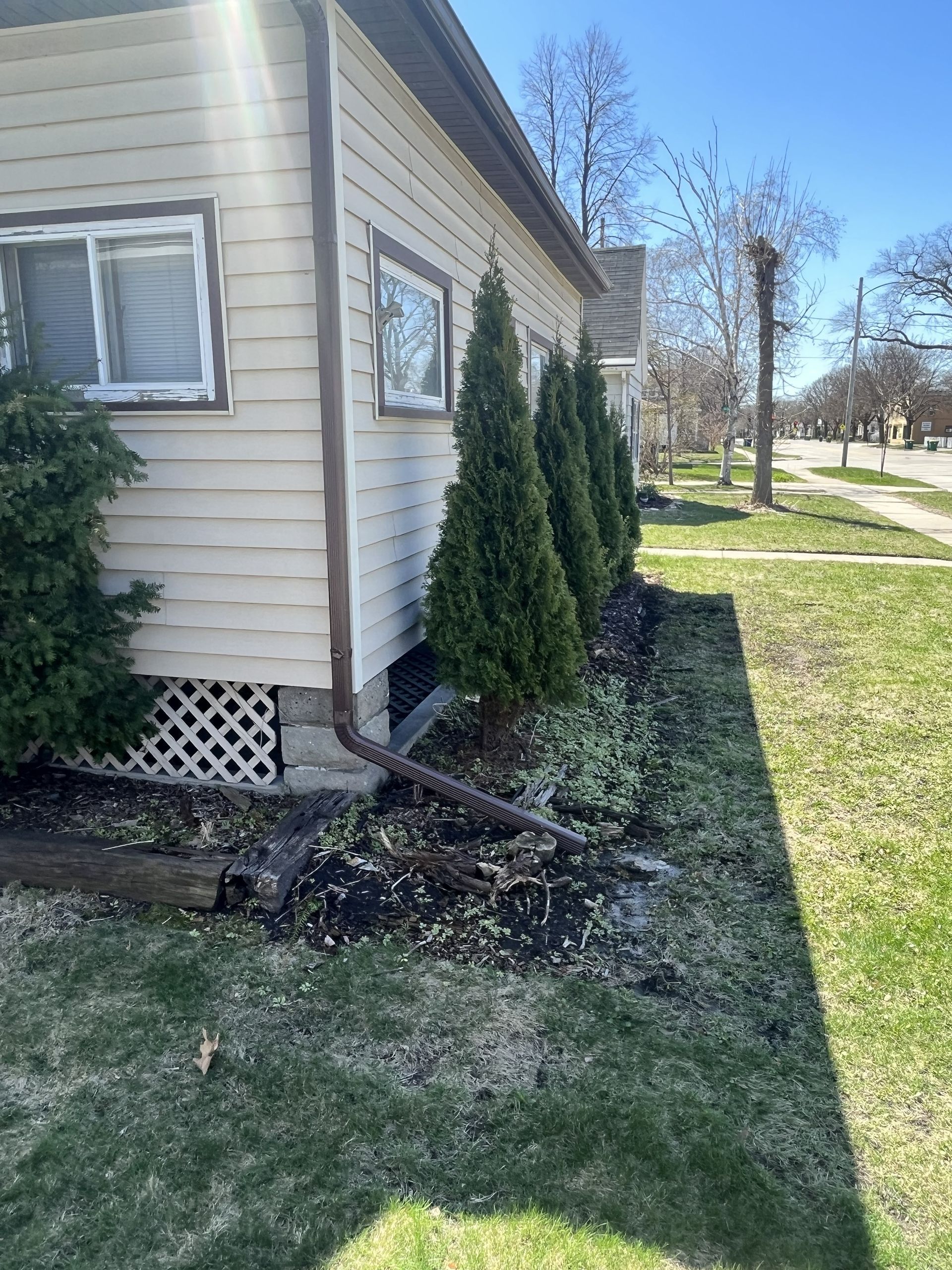 Side view of a house with small evergreen trees planted in a row along the edge of the house next to the sidewalk.