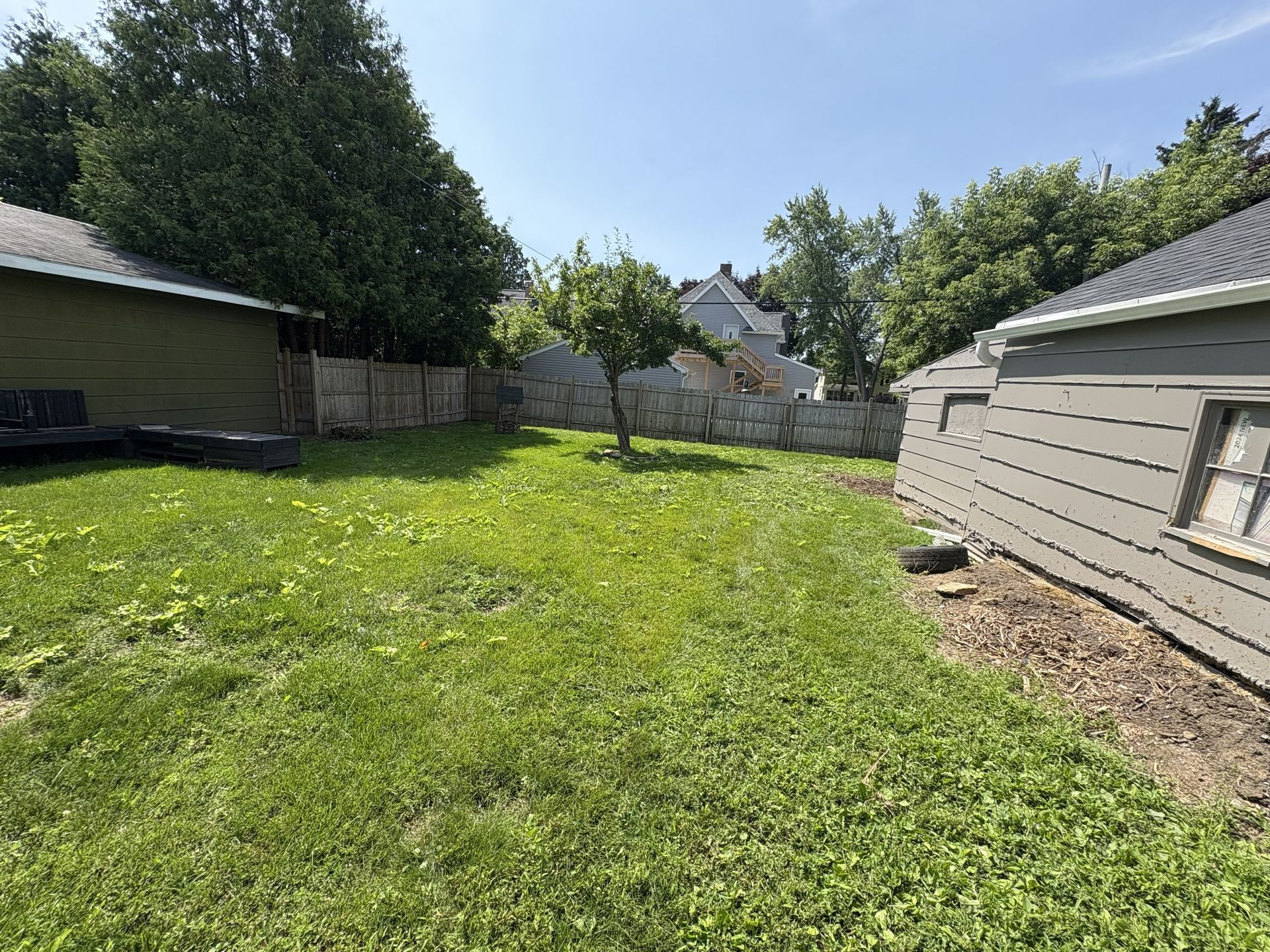Backyard with green grass, tree, wooden fence, and gray buildings on a sunny day.