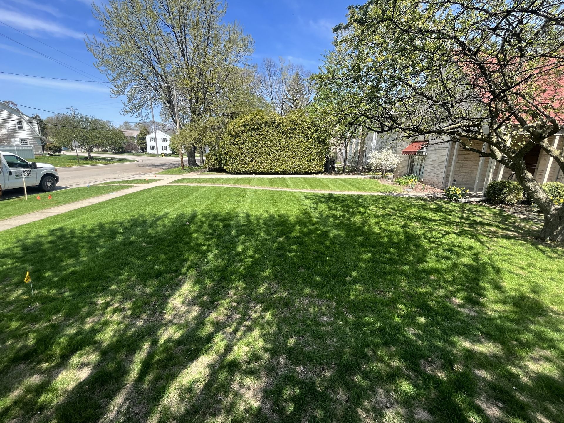 Green lawn with tree shadows, street, trees, and buildings on a sunny day.
