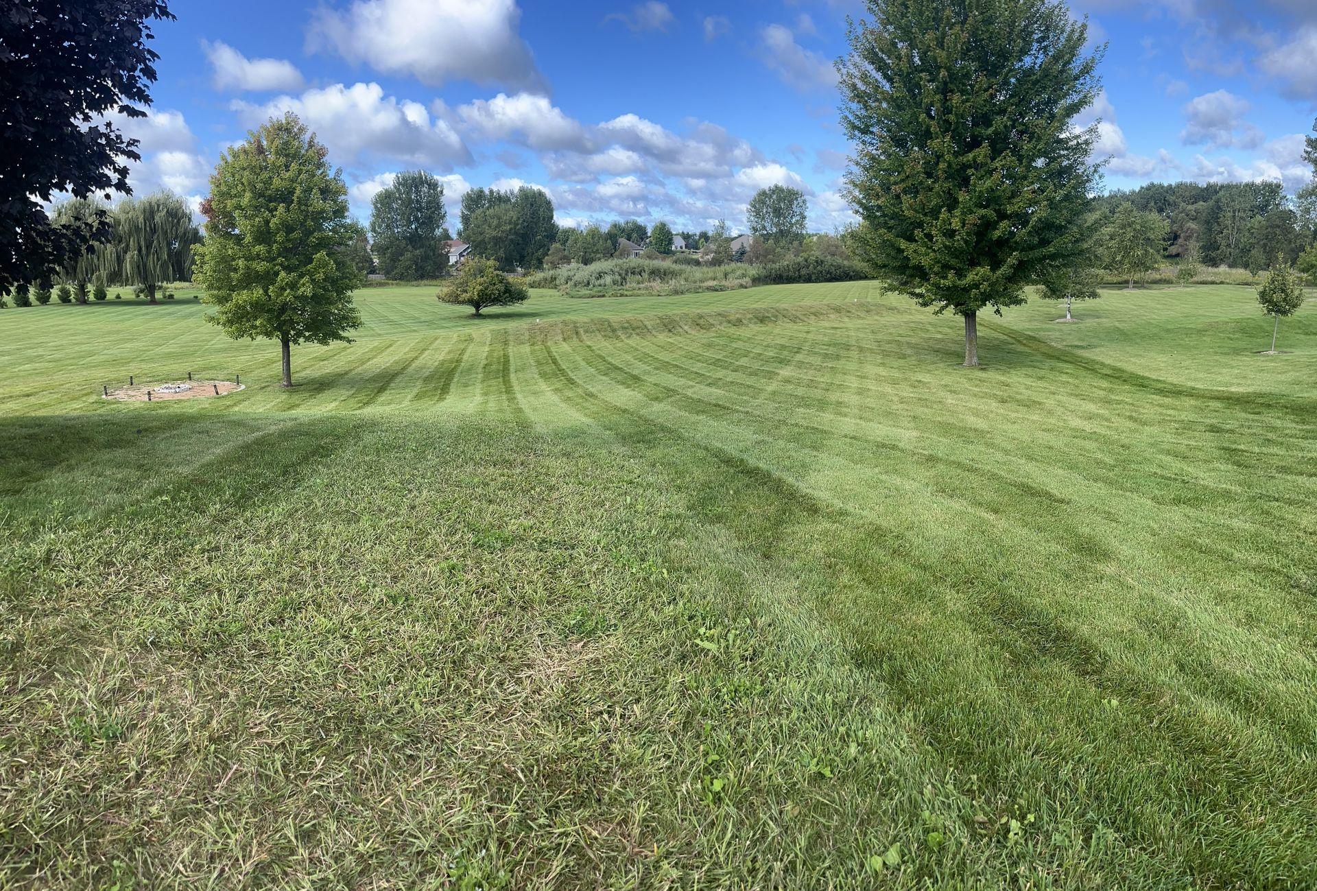 Green field with mown stripes, scattered trees under a blue sky with clouds.