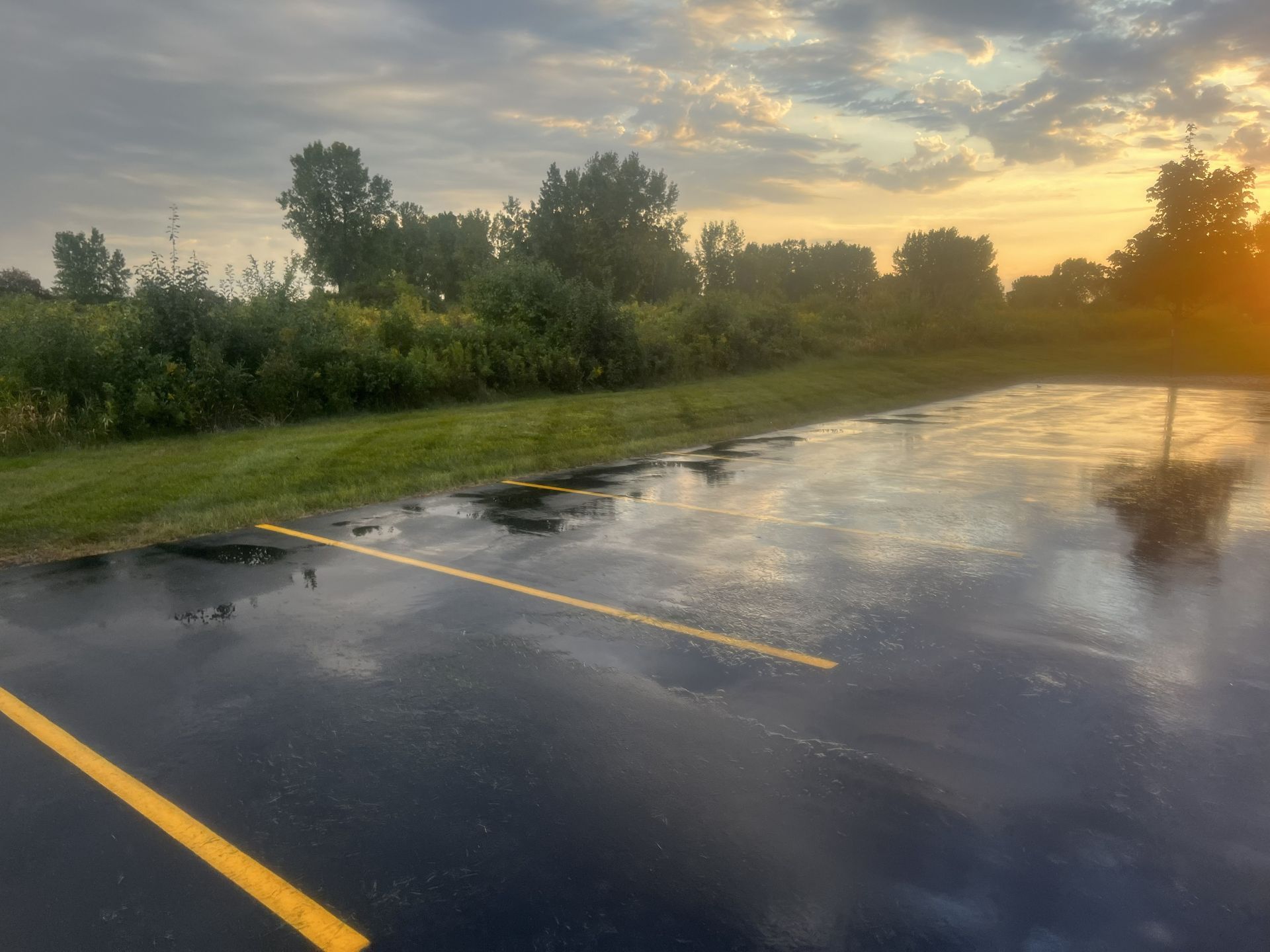 Wet asphalt parking lot with yellow lines reflecting a sunset, bordered by grassy area and trees.
