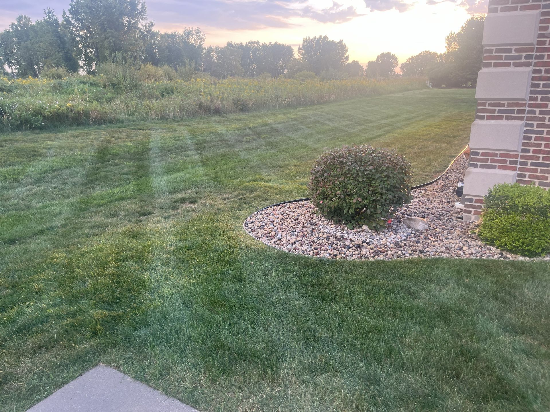 Lawn with mowed area, unkempt field, a shrub bed with rocks, and part of a brick wall, all under a sunrise.