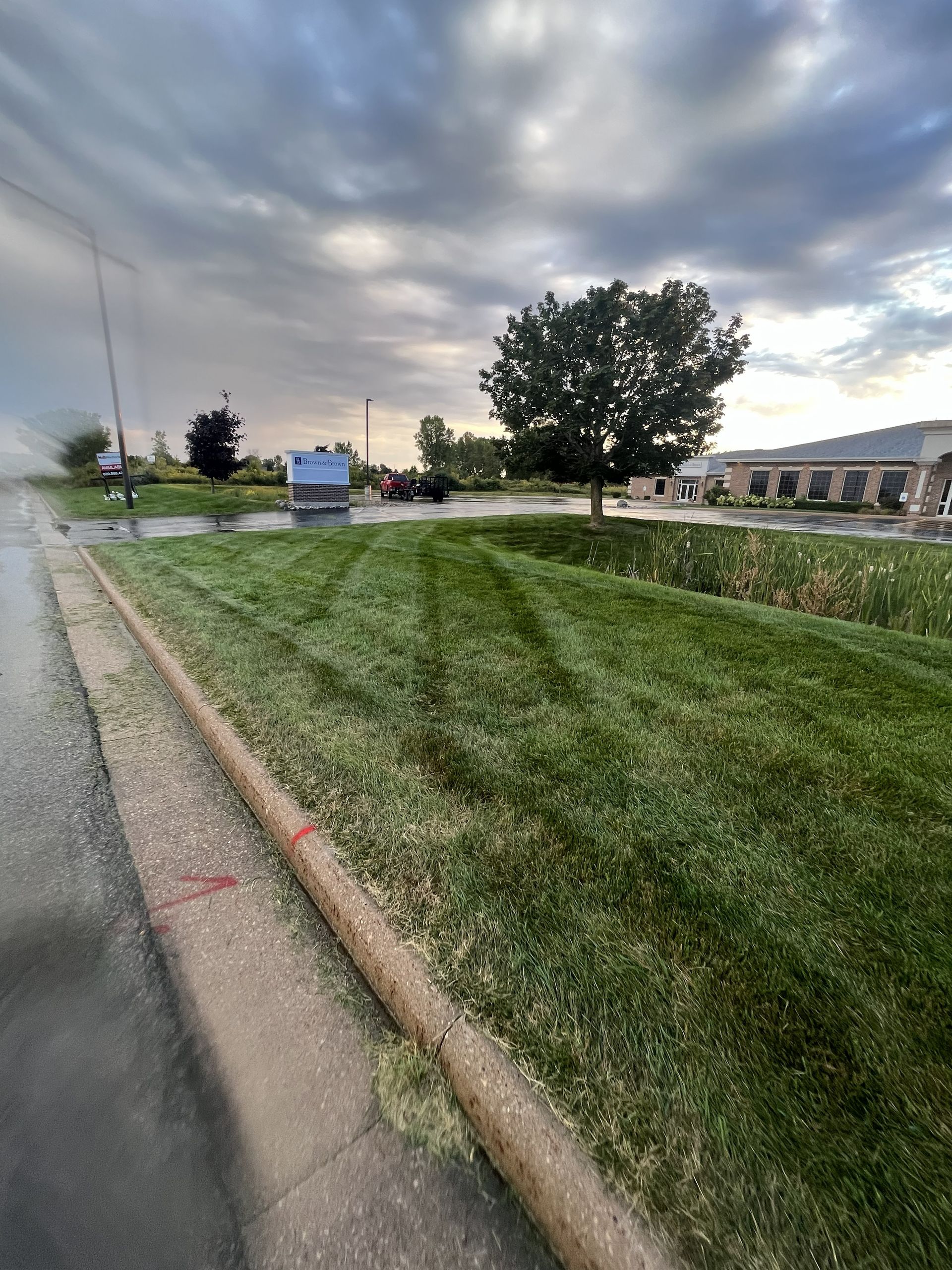Lawn with freshly cut grass, a tree, and a building under a cloudy sky.