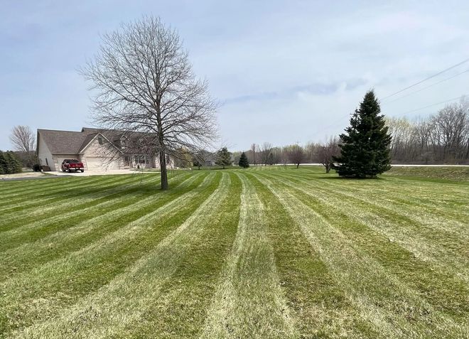 lawn-dogs