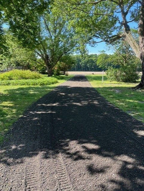 A dirt road going through a grassy area with trees on both sides.