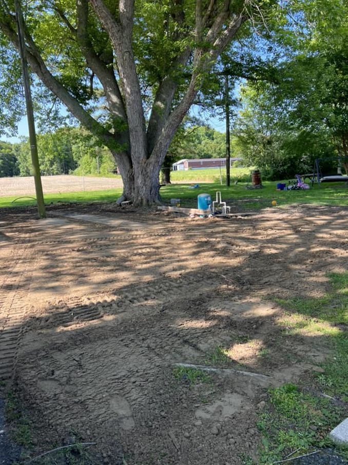 A large tree is sitting in the middle of a dirt field.