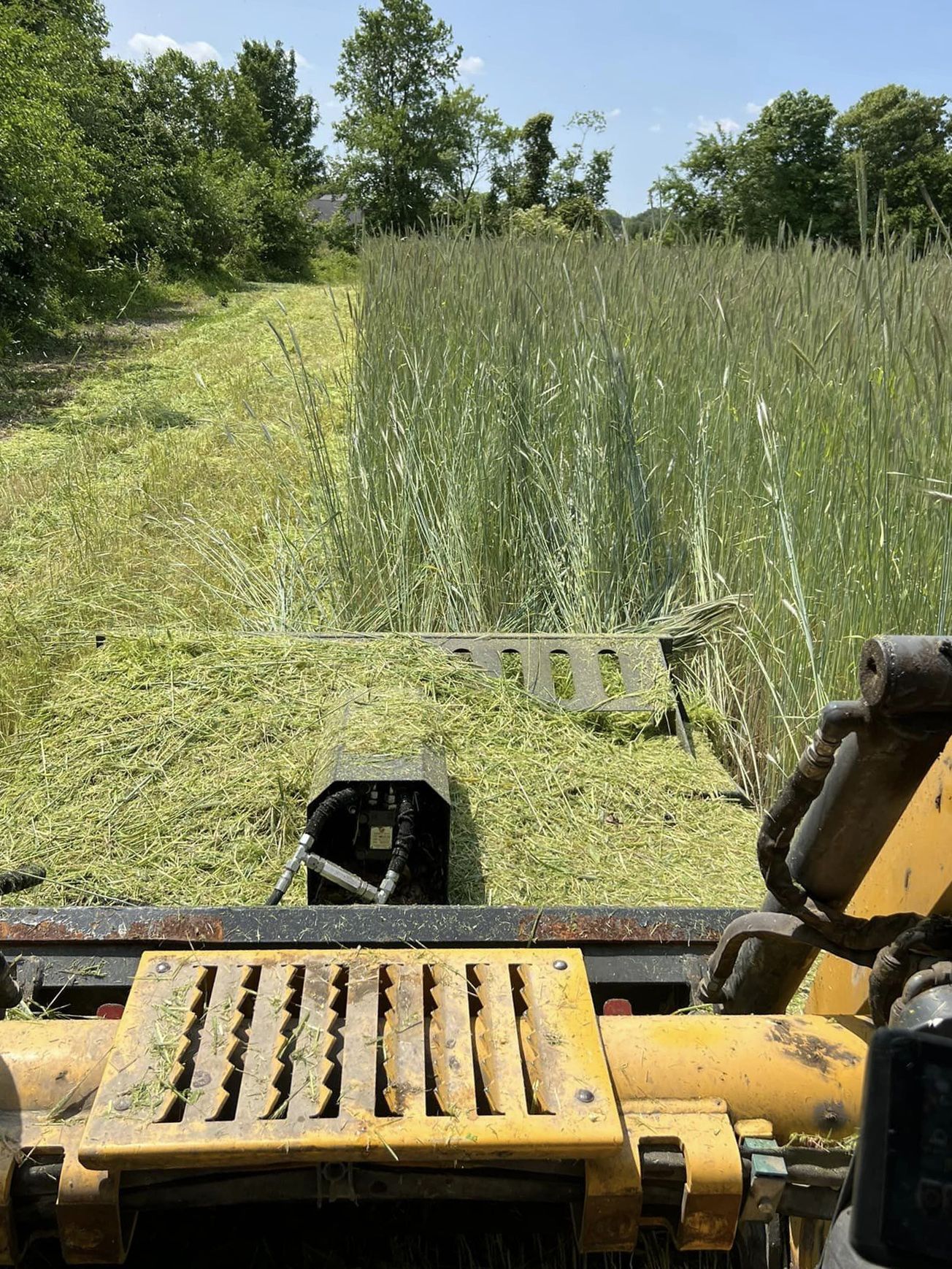 A yellow tractor is cutting grass in a field.