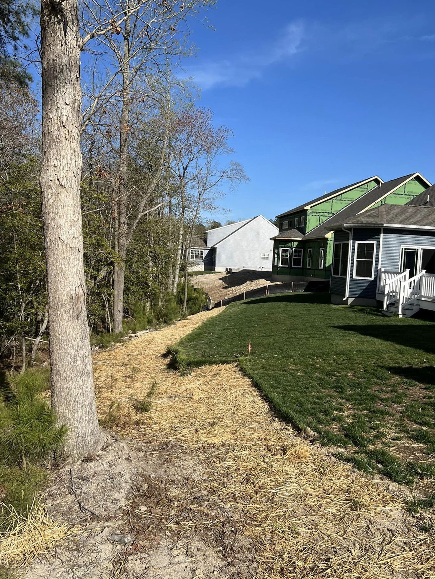 There is a house under construction in the background and a path leading to it.