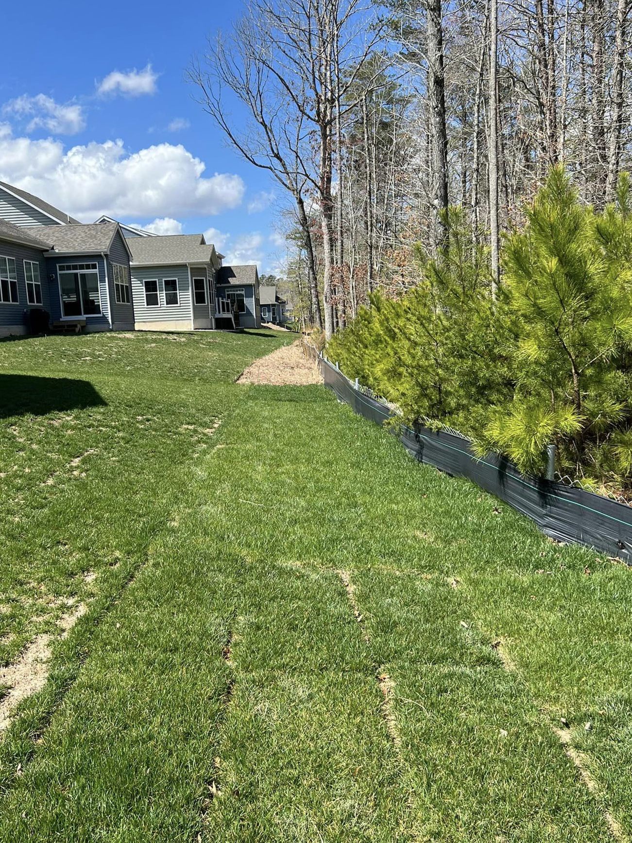 A lush green lawn with a house in the background and trees in the foreground.
