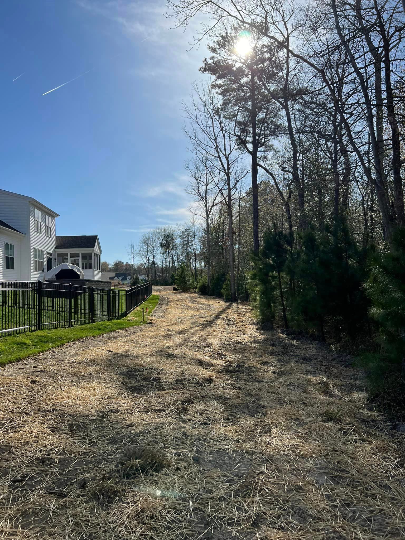A dirt road leading to a house surrounded by trees on a sunny day.