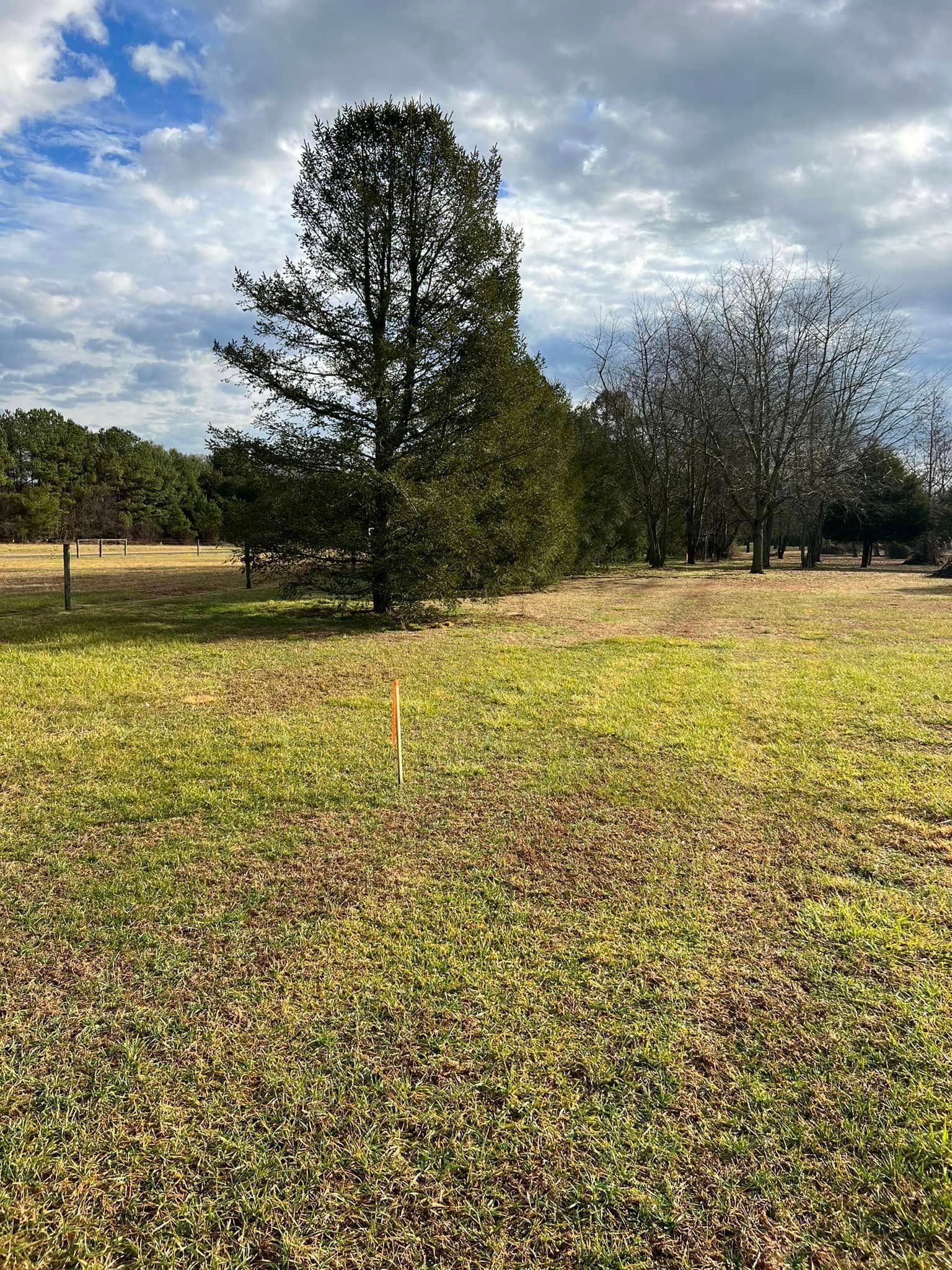A large grassy field with trees in the background.
