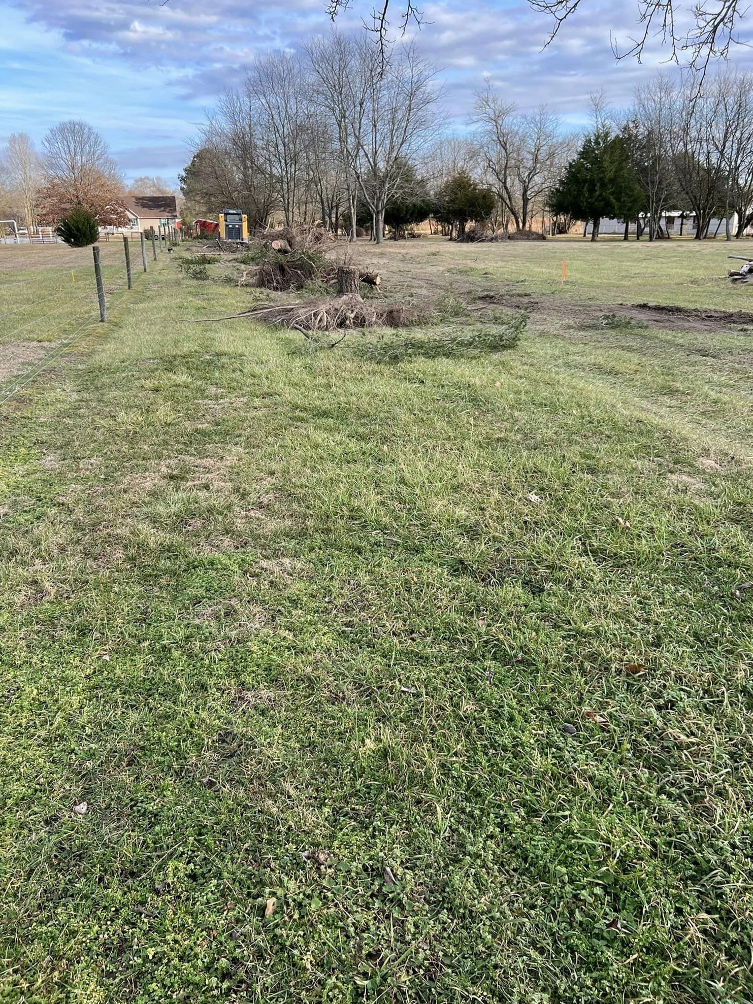 A lush green field with trees and a fence in the background.