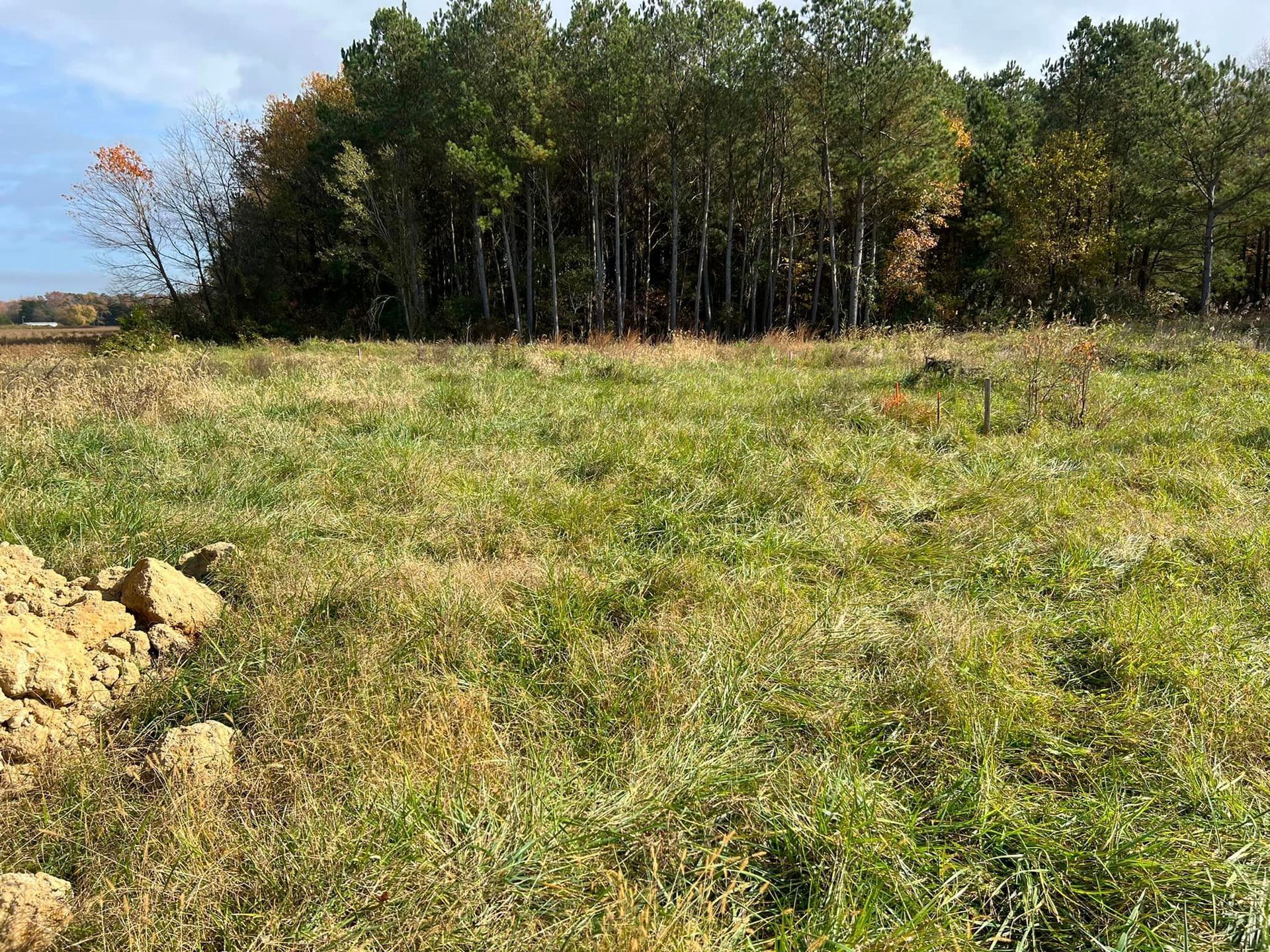 A large grassy field with trees in the background.