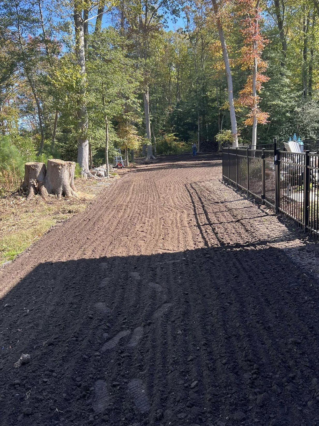 A dirt road surrounded by trees and a fence.