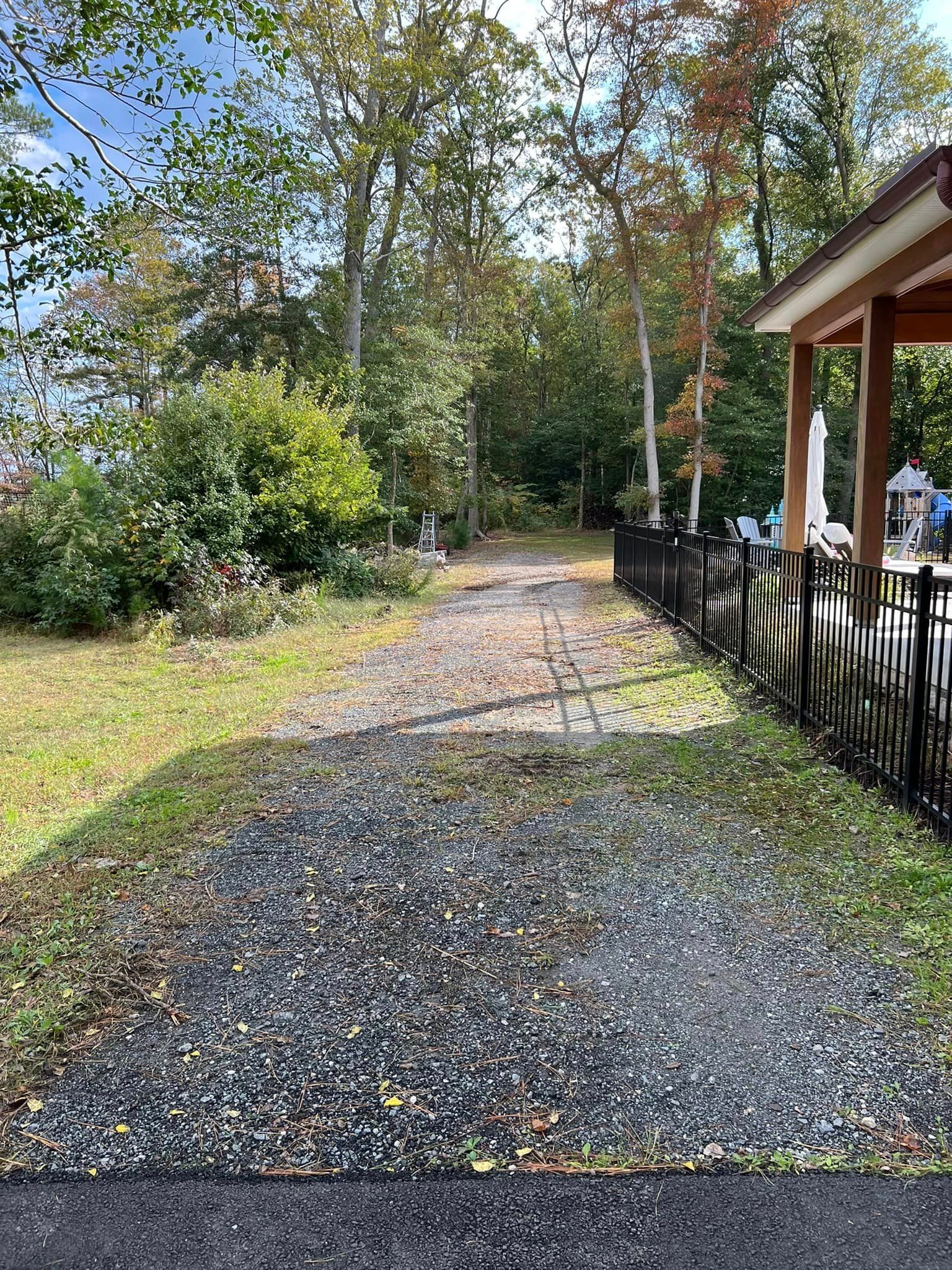 A dirt road leading to a house in the woods.