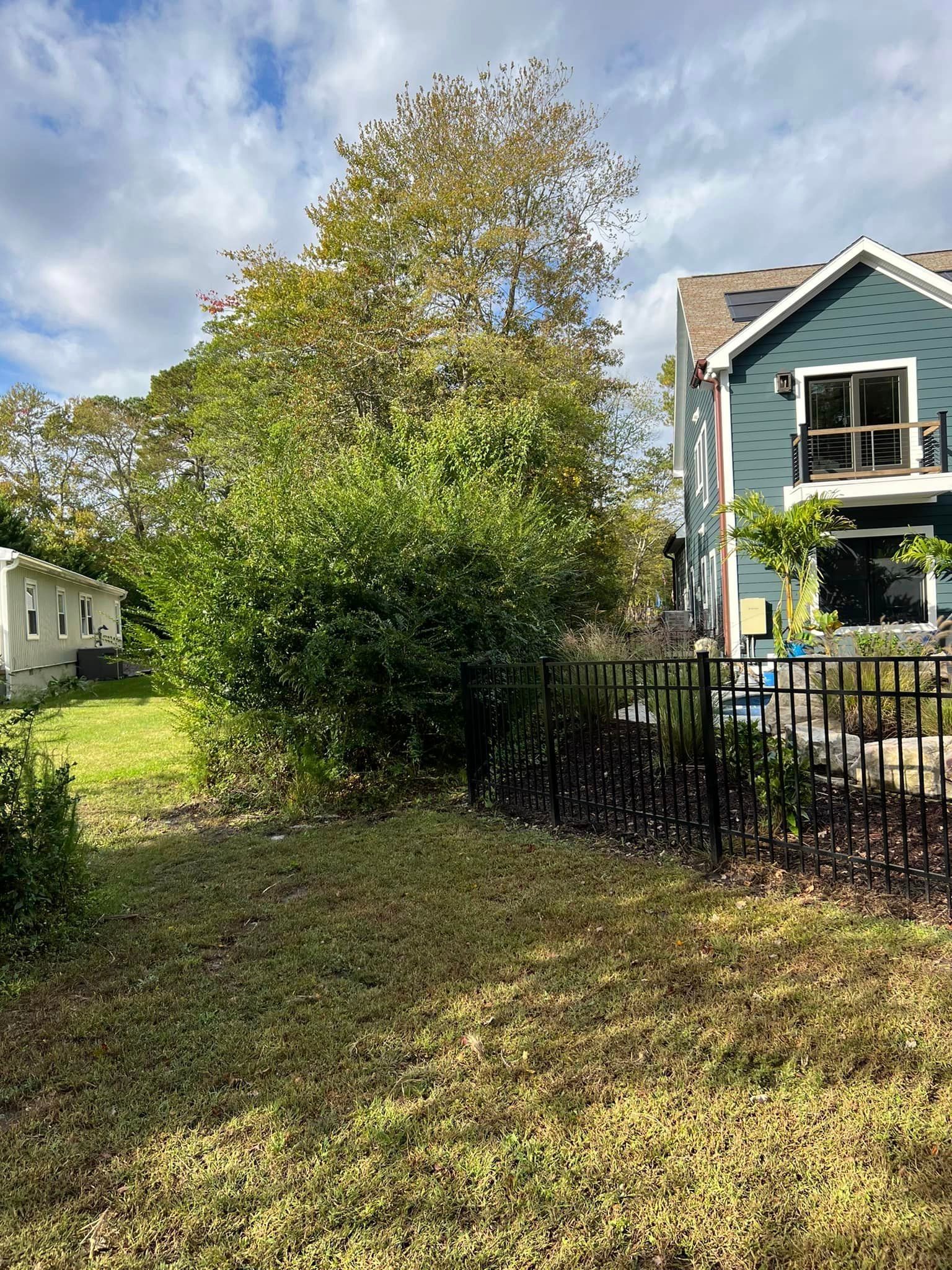 There is a house in the background and a fence in the foreground.