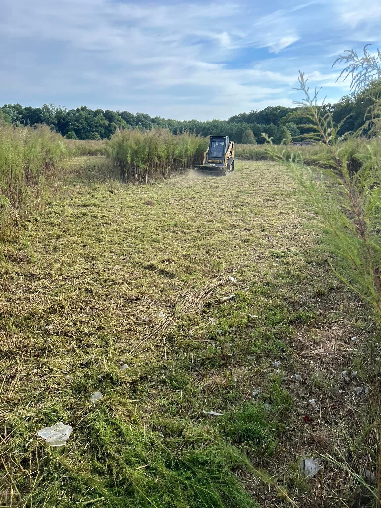 A bulldozer is cutting grass in a field.