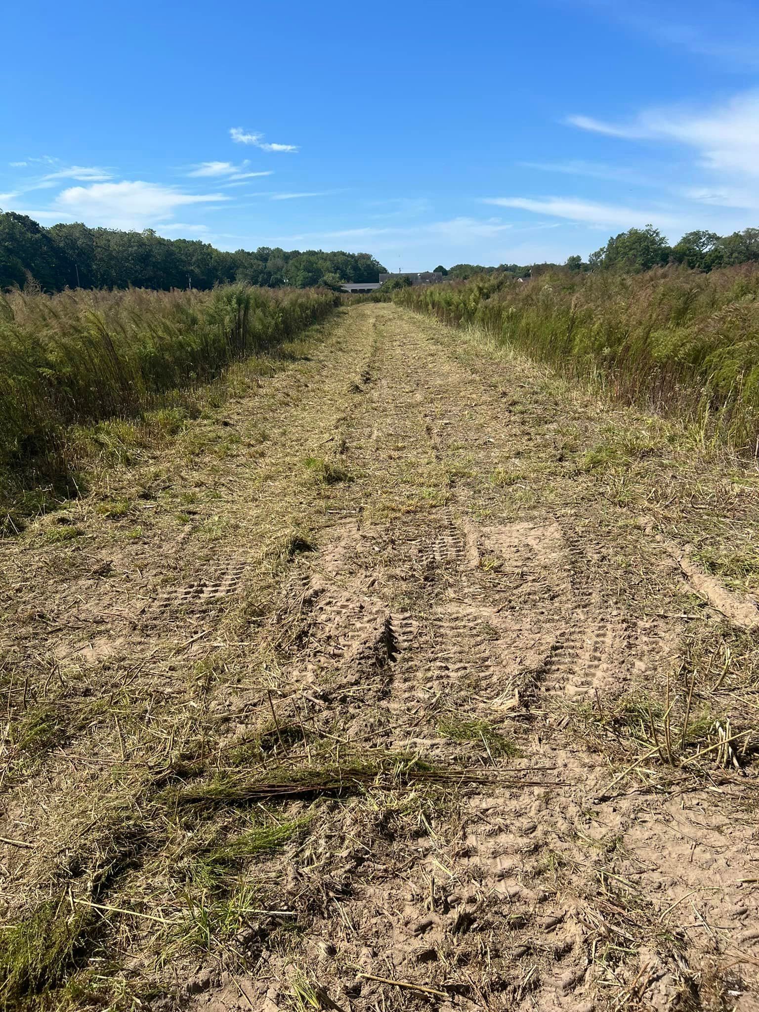 A dirt road going through a field with trees in the background.