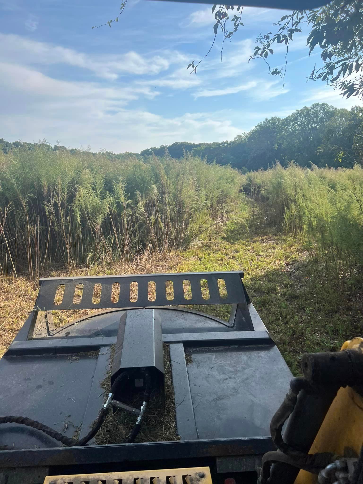 A tractor is parked in a field with trees in the background.