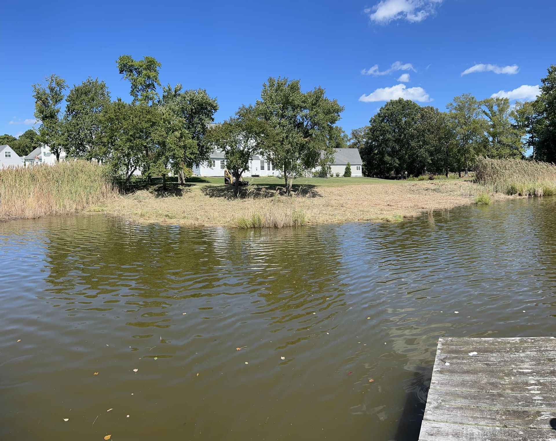 A large body of water with trees in the background